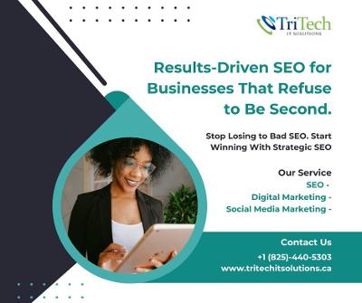 Services | SEO Solutions for Business Growth by TriTech IT Solution